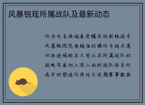 风暴锐现所属战队及最新动态