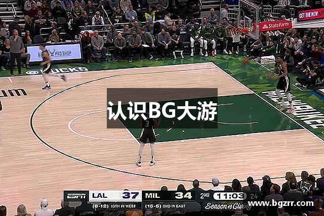 认识BG大游